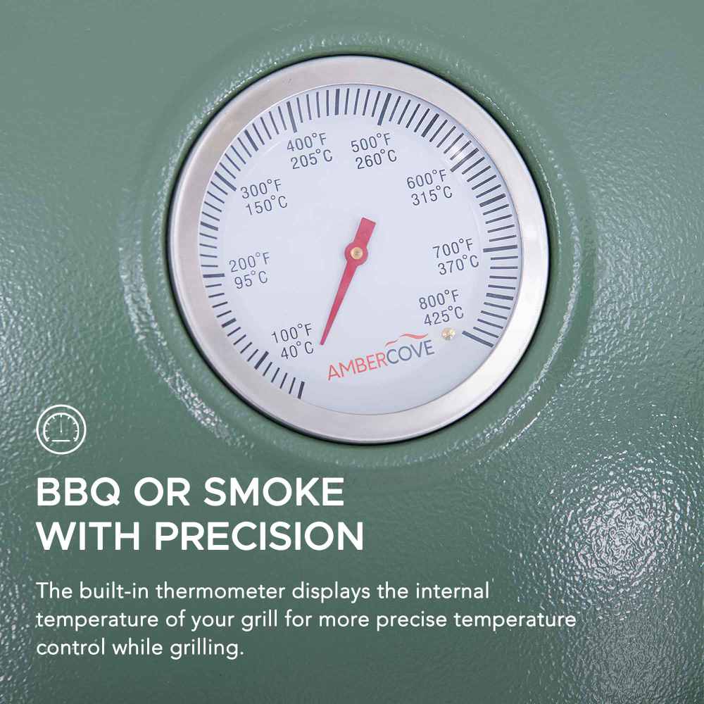 Pinnacle Egg-Shaped Charcoal Grill & Smoker 20" - Forest Green
