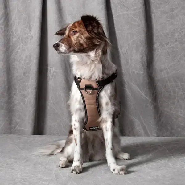 BOSS Dog Essentials Harness - Image 4
