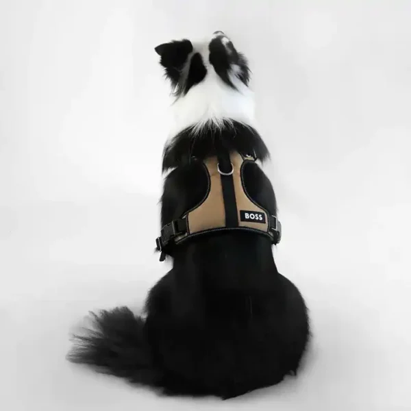 BOSS Dog Essentials Harness - Image 2