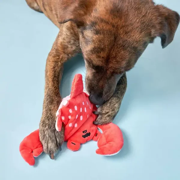 Crab Nosework Dog Toy - Image 2