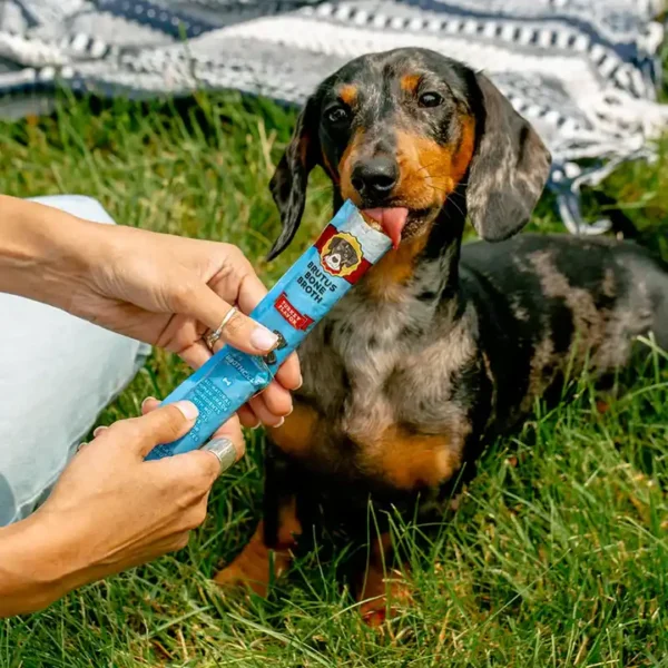 Brothcicles - Frozen Broth Treats for Dogs - Image 4