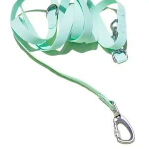 Roam Jelly Hands Free Crossbody Leash