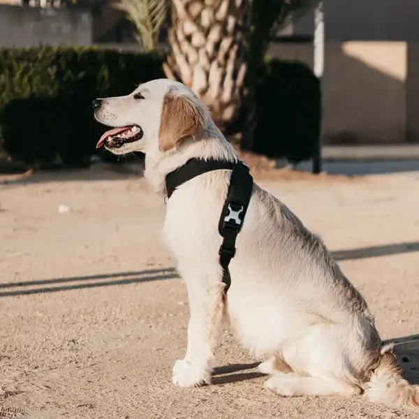 Roam Luxe Dog Harness - Image 3