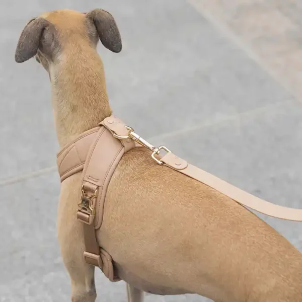 Roam Luxe Dog Harness - Image 2