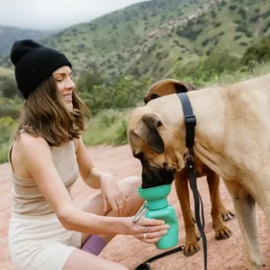 20 oz Travel Water Bottle for Dogs